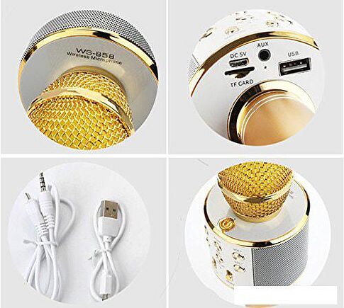 Микрофон Wster WS-858 (золотистый)