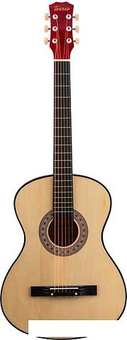 Акустическая гитара Terris TF-3805A BK