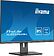 Монитор Iiyama ProLite XUB2595WSU-B5