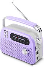 Радиоприемник Ritmix RPR-045 (сиреневый)