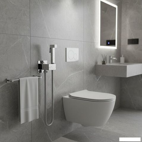 Гигиенический душ Lauter Rainix 21LT7711CH