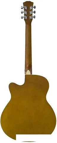 Акустическая гитара Elitaro E4020 N