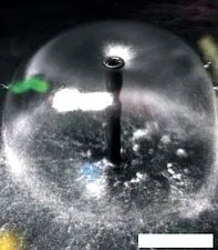 Фонтанный насос SunSun CHJ-603