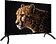 Телевизор Topdevice 24" WILDRED TDWC24BH2210I