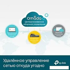 Управляемый коммутатор уровня 2+ TP-Link TL-SG3452P