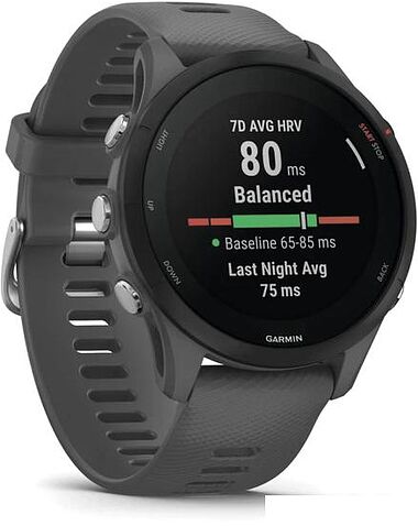 Умные часы Garmin Forerunner 255 46 мм (сланцево-серый/черный)