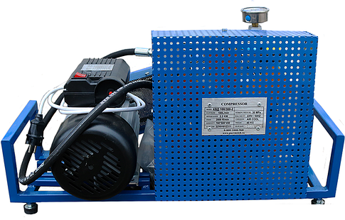 Компрессор Frosp КВД100/300-2