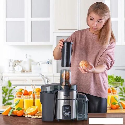 Соковыжималка VLK Profi 4100