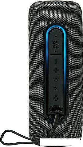 Беспроводная колонка Dialog AP-11 (черный)