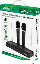 Микрофон Ritmix RWM-210