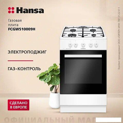 Кухонная плита Hansa FCGW510009H