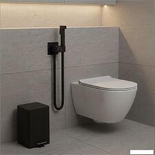 Гигиенический душ Lauter Rainix 21LT7712BM