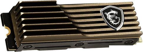 SSD MSI Spatium M570 HS 2TB S78-440Q560-P83