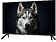 Телевизор Topdevice 32" WILDRED TDWC32BF2110V