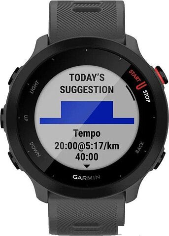 Умные часы Garmin Forerunner 55 (серый)