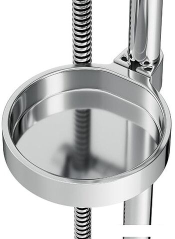 Душевой гарнитур AM.PM Spirit F0170064