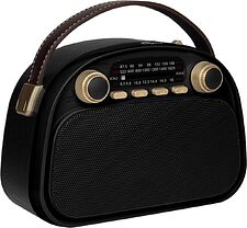 Радиоприемник Ritmix RPR-040 (черный)