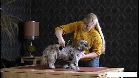 Машинка для стрижки  Moser Max 45 1245-0077