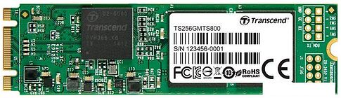 SSD Transcend MTS800 256GB TS256GMTS800S