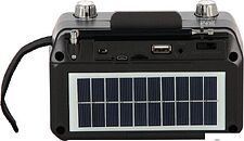 Радиоприемник Soundmax SM-RD2114UB