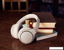 Наушники Panasonic RB-M500BGE-C