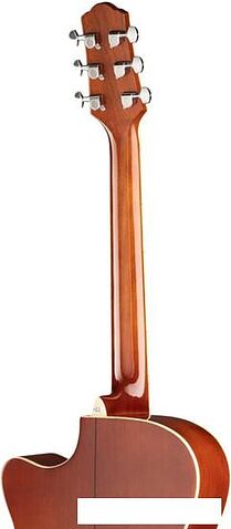 Акустическая гитара Naranda TG220CNA