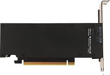 Видеокарта PNY RTX 2000 Ada Generation 16GB GDDR6 VCNRTX2000ADA-SB Видеокарта PNY RTX 2000 Ada Generation 16GB GDDR6 VCNRTX2000ADA-SB