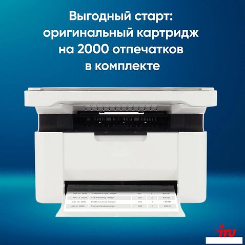 МФУ iRU Strato HM2401DNW