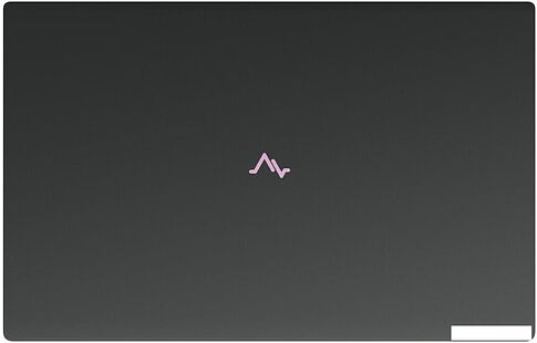 Ноутбук Maibenben P725 P7251SF0HGRE0