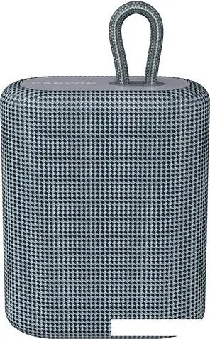 Беспроводная колонка Canyon CNE-CBTSP4DG