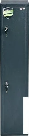 Оружейный сейф CACTUS CS-SF-GK100