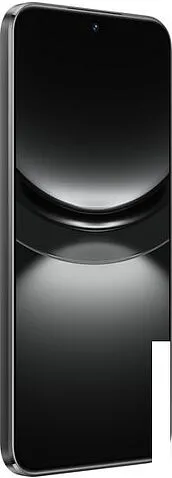 Смартфон Huawei nova 12s FOA-LX9 8GB/256GB (черный)