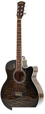 Акустическая гитара Elitaro E4030 BKS