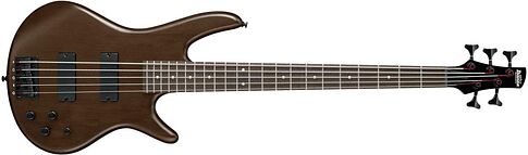 Бас-гитара Ibanez GSR205B-WNF