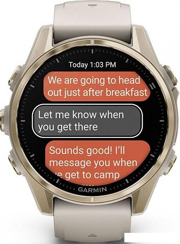 Умные часы Garmin Fenix 8 Sapphire 43мм (золотистый, дымчато-серый ремешок)