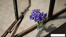 Объектив Sony FE 50mm F1.8 [SEL50F18F]