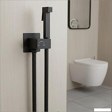 Гигиенический душ Lauter Rainix 21LT7712BM