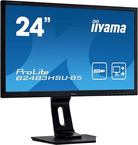 Монитор Iiyama ProLite B2483HSU-B5
