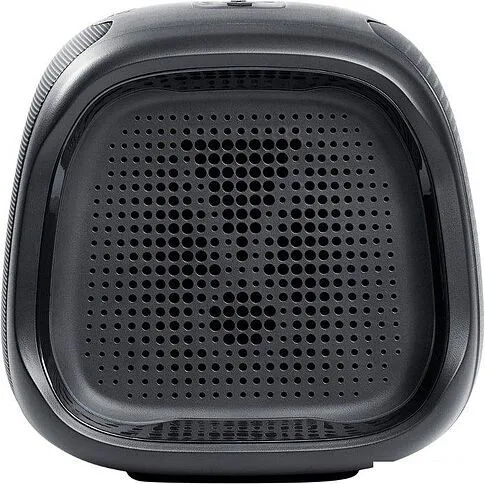 Беспроводная колонка JBL BassPro Go