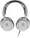 Наушники SteelSeries Arctis Nova 1P (белый)