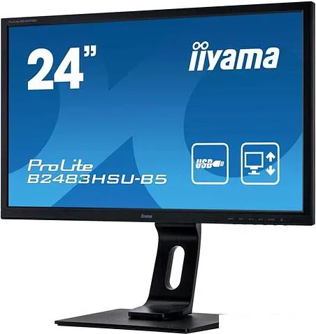 Монитор Iiyama ProLite B2483HSU-B5