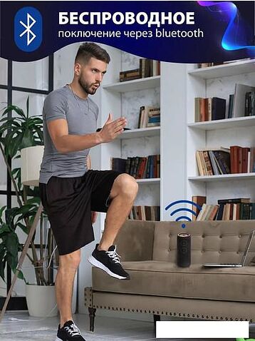 Беспроводная колонка Aiwa PAS-H300 (черный)