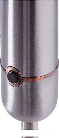 Погружной блендер RED Solution RHB-CB2988