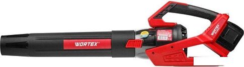 Ручная воздуходувка Wortex BB 2536 D ALL1 1333405 (с 2-мя АКБ)