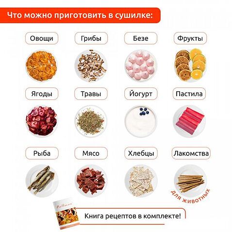 Сушилка для овощей и фруктов Pullman PL-1105 (зеленый)