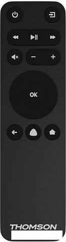 Телевизор Thomson T43FSM5160