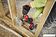 Дрель-шуруповерт Milwaukee M18 FUEL M18FDD3-0X 4933479862 (без АКБ)