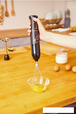 Погружной блендер Scarlett SC-HB42F72