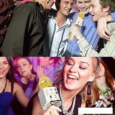 Микрофон Wster WS-858 (золотистый)