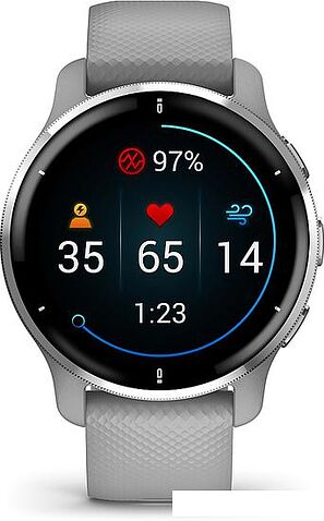 Умные часы Garmin Venu 2 Plus (серебристый/серый)
